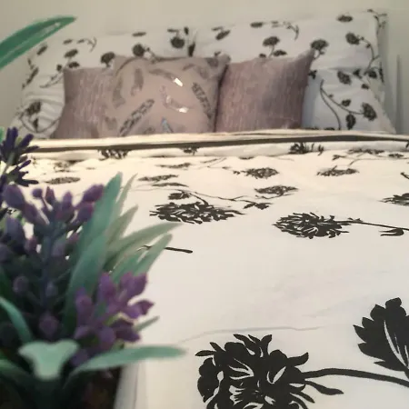 Apartmán U Flory Olomouc